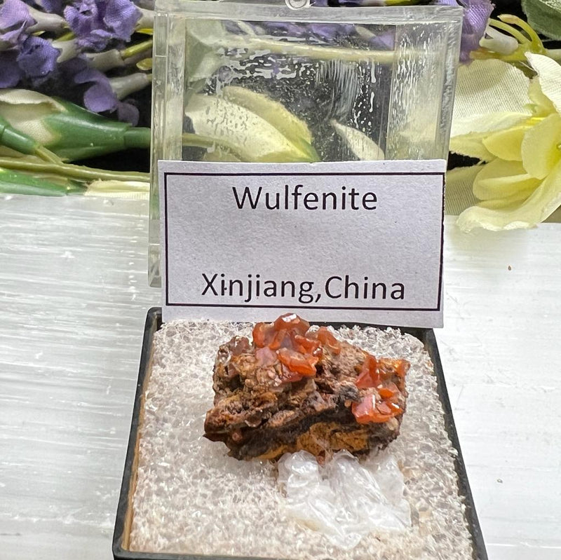 Wulfenite AAA Mineral Specimen