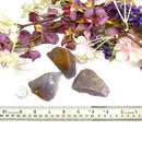 Yttrium Fluorite Rough (Psychic Expansion)