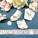 Zebradorite Rough (Group Cooperation)