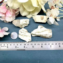 Zebradorite Rough (Group Cooperation)