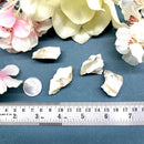 Zebradorite Rough (Group Cooperation)