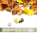 Feldspar with Smoky Quartz / Zebradorite Cabochons